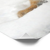 Poster Tiger_2015_0101 (Coin)