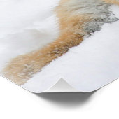 Poster Tiger_2015_0103 (Coin)