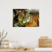 Poster Tiger a l'air joli (Cuisine)