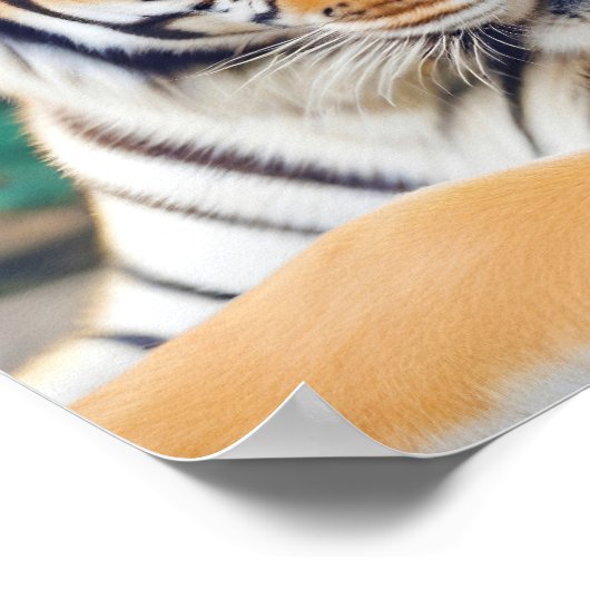 Poster Tiger Animal Nature Animale Animale Affection Faun (Coin)