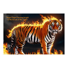 Poster Tiger Burning