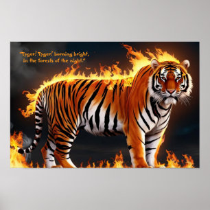 Poster Tiger Burning