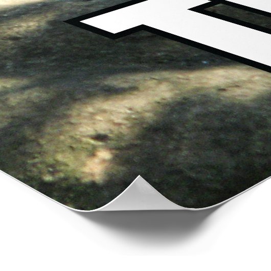 Poster Tiger Catnap (Coin)