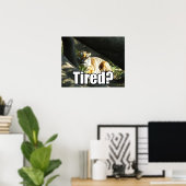 Poster Tiger Catnap (Bureau à domicile)