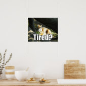 Poster Tiger Catnap (Cuisine)