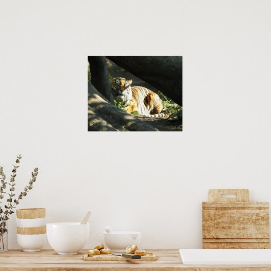 Poster Tiger Catnap (Cuisine)