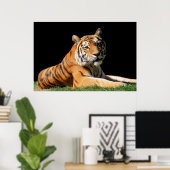 Poster Tiger Closeup (Bureau à domicile)