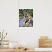 Poster Tiger cub, Bandhavgarh National Park, India (Cuisine)