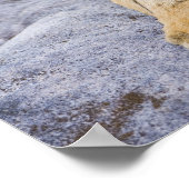 Poster Tiger cub, Bandhavgarh National Park, India (Coin)