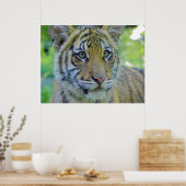 Poster Tiger Cub Fermer Portrait (Cuisine)