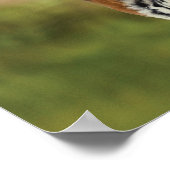 Poster Tiger Cub - Mindset - Réflexion de l'eau - Succès (Coin)