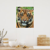 Poster Tiger Cub Portrait (Cuisine)