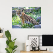 Poster Tiger Cub Portrait 2 (Bureau à domicile)