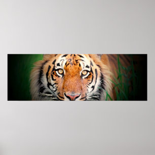 Poster Tiger Eyes