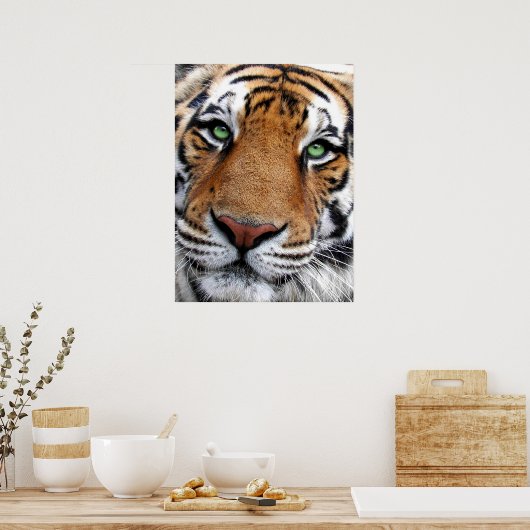 Poster Tiger Face (Cuisine)