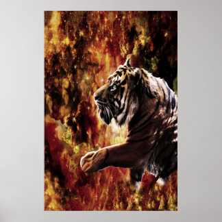 Poster Tiger Galaxy