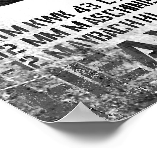 Poster Tiger II (Coin)