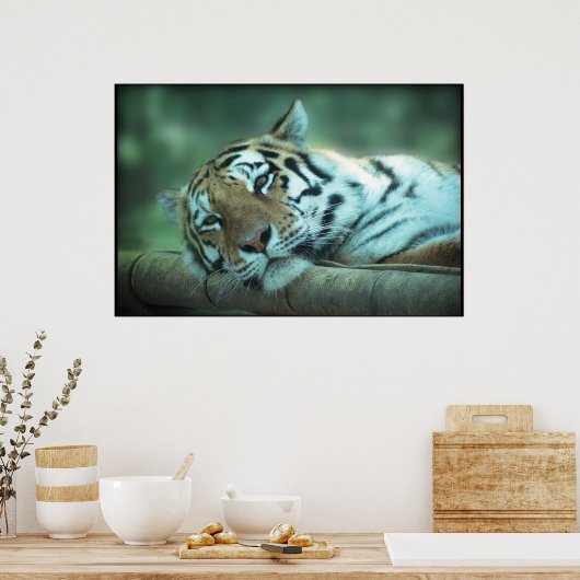 Poster Tiger Laying (Cuisine)