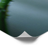 Poster Tiger Lily (Coin)