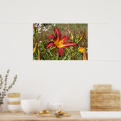 Poster Tiger Lily (Cuisine)