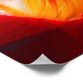 Poster Tiger Lily "dessin" (Coin)