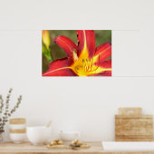 Poster Tiger Lily & Friend (Cuisine)