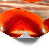 Poster Tiger Lily Fun...... (Coin)