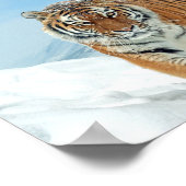 Poster Tiger Montagnes hiver Nature Photo Neige Imprimer (Coin)