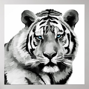 Poster Tiger Noir et Blanc Bleu yeux
