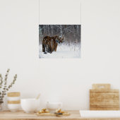 Poster Tiger (Panthera tigris) standing in deep snow (Cuisine)
