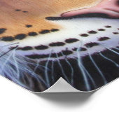 Poster Tiger Portrait (Coin)