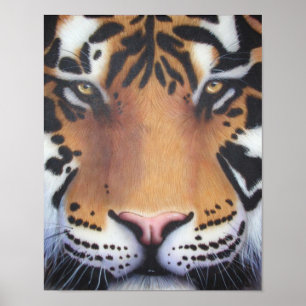 Poster Tiger Portrait
