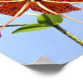 Poster Tiger Sky (Coin)