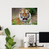 Poster Tiger Smile (Bureau à domicile)