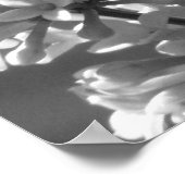 Poster Tiger Swallowtail (Coin)