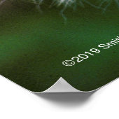 Poster Tiger tête et visage (Coin)