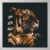 Poster Tiger - Tiger - Tiger Motivation (Devant)