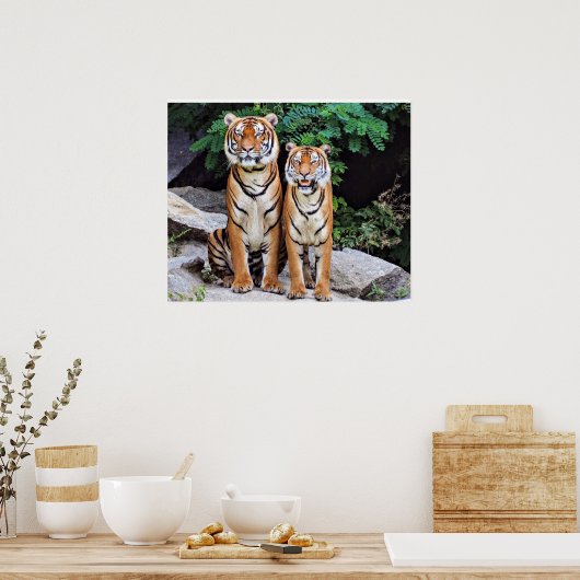 Poster Tigers, male and female, (Cuisine)