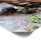 Poster Tigers, male and female, (Coin)