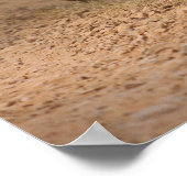 Poster Tigers royaux du Bengale en mouvement, Ranthambhor (Coin)