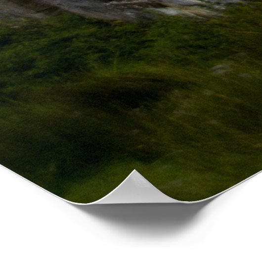 Poster Tigh-Na-Sleubhaich (Coin)