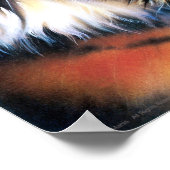 Poster Tigre (Coin)