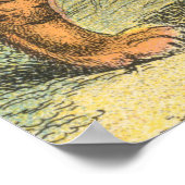 Poster Tigre (Coin)