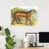 Poster Tigre (Bureau à domicile)