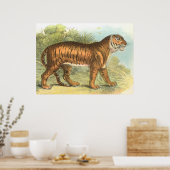 Poster Tigre (Cuisine)