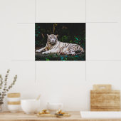 Poster Tigre (Cuisine)