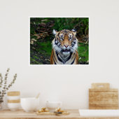 Poster Tigre (Cuisine)