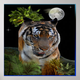 Poster Tigre