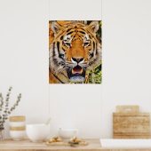 Poster Tigre (Cuisine)