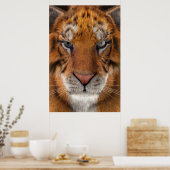 Poster Tigre (Cuisine)